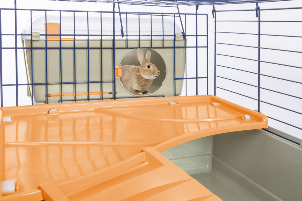 Двухэтажная клетка для кролика с террасой, миской и поилкой Imac Benny 100