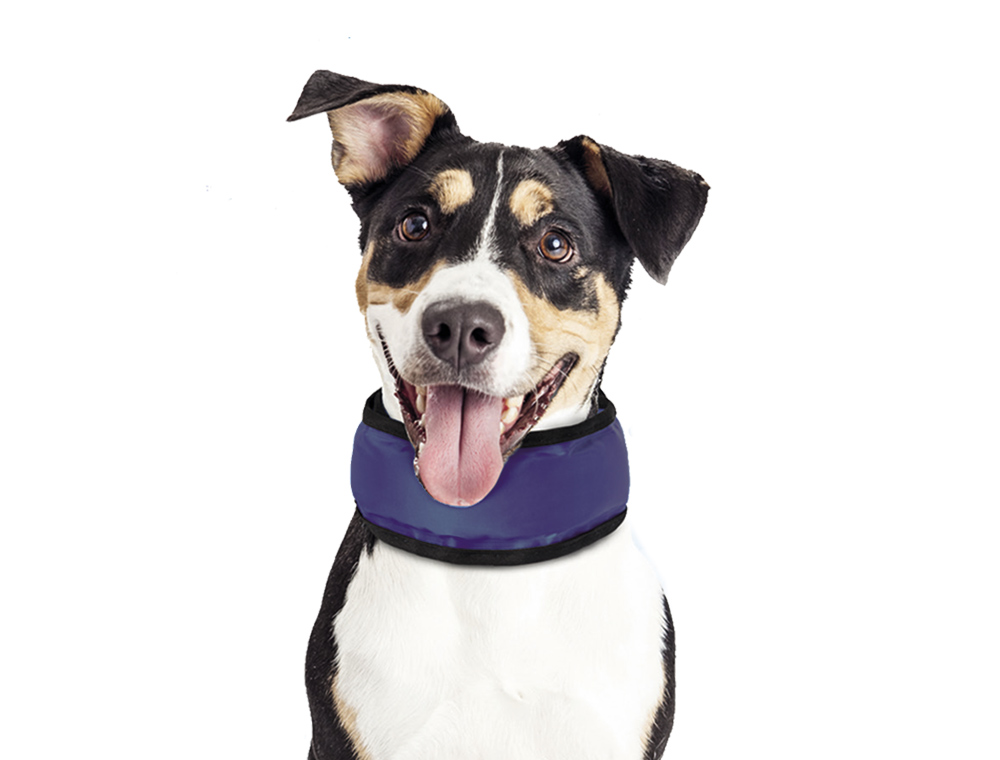 Охлаждающий воротник для собак Cooling Collar Nobby