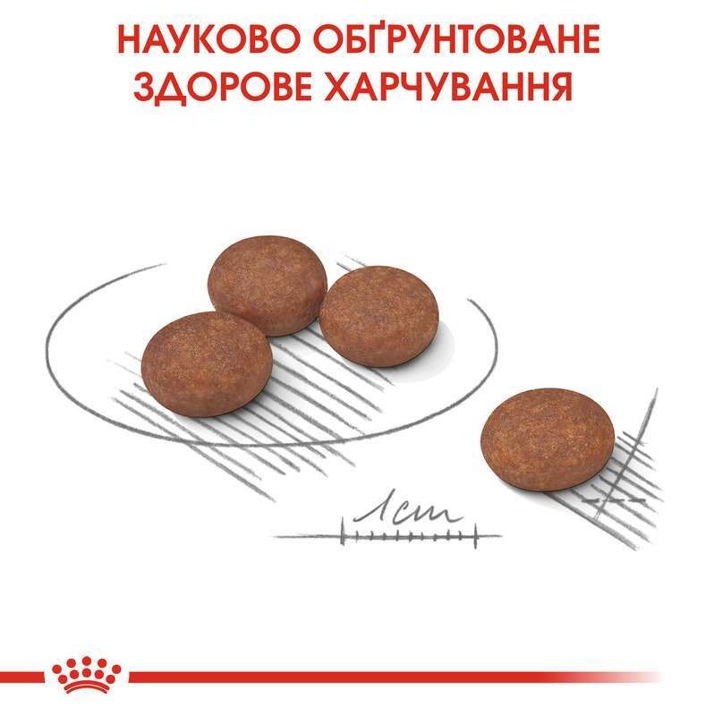 Сухой корм для собак маленьких пород с чувствительным пищеварением Royal Canin Mini Digestive Care Adult