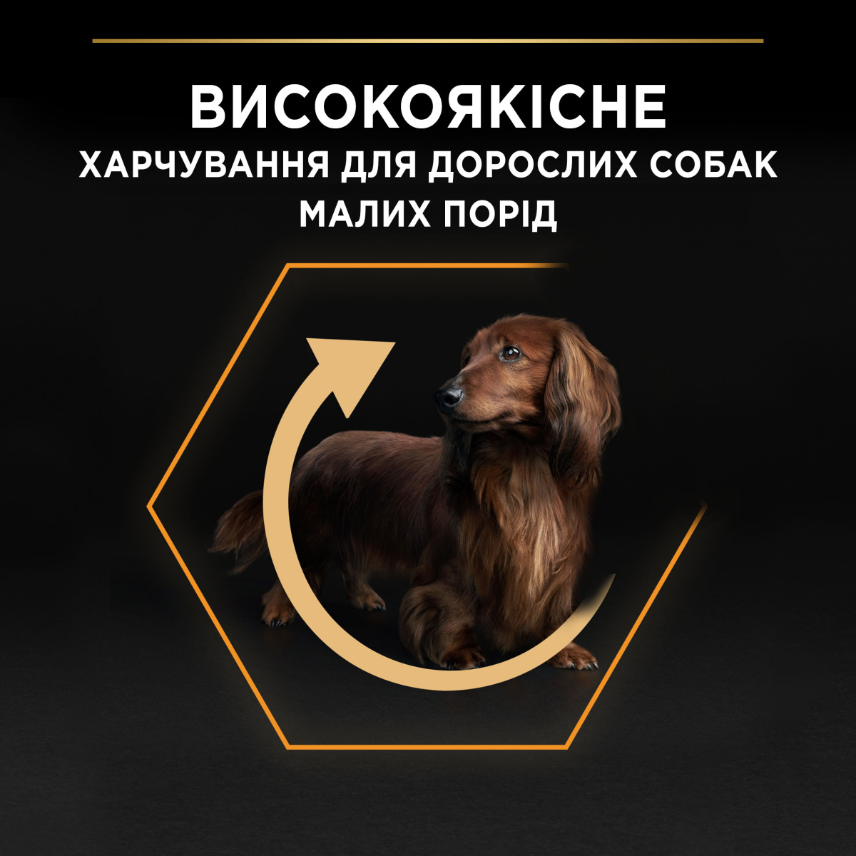 Сухий корм для собак маленьких порід з Куркою Purina Pro Plan Small & Mini Adult 1+ Everyday Nutrion Chicken