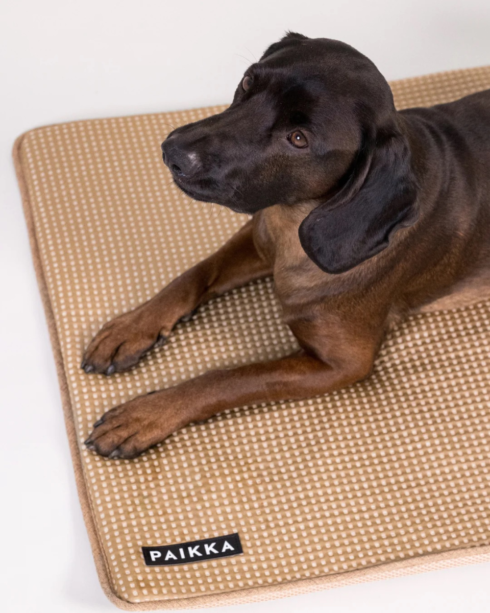 Інноваційна охолоджуюча підстилка для собак та котів PAIKKA Cooling Blanket Taupe