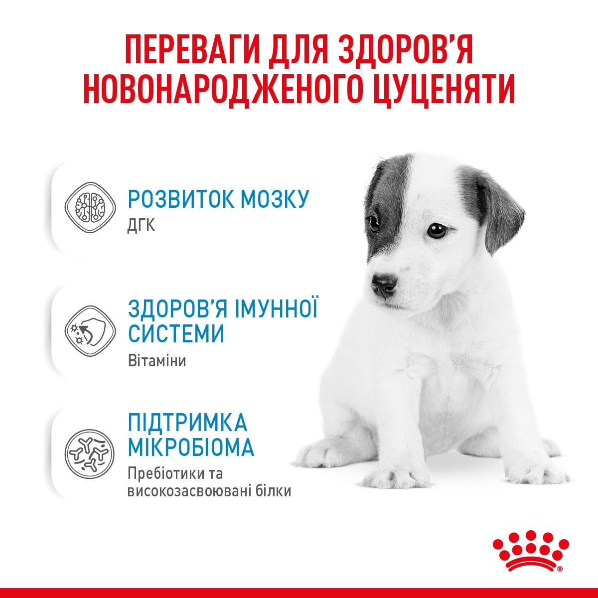 Замінник собачого молока для цуценят віком від 0 до 2 місяців від народження до відлучення Royal Canin Babydog Milk 1st Age Milk