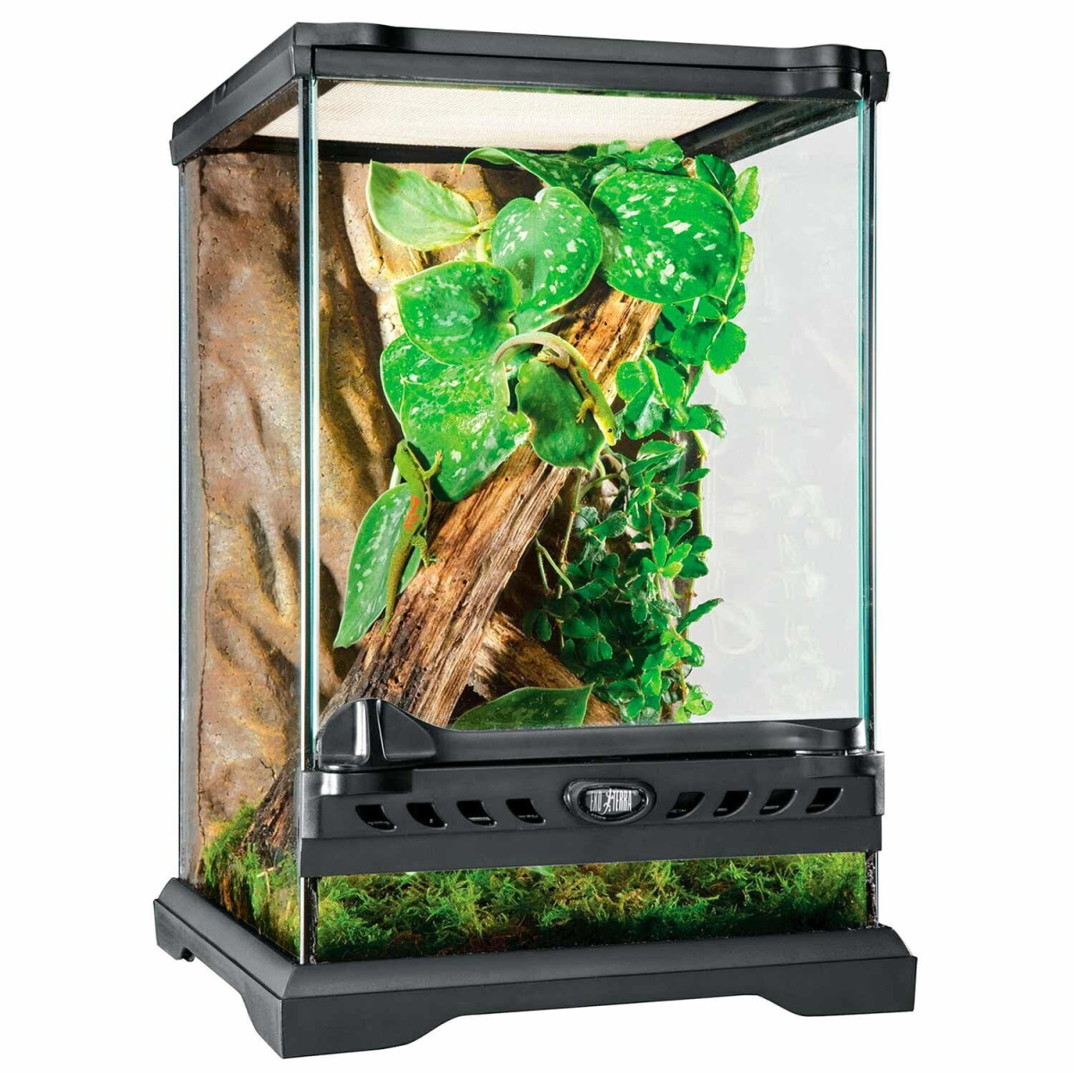 Стеклянный вертикальный нано-терраиум 20 х 20 х 30 см Exo Terra Natural Terrarium Nano Tall РТ2601 Стеклянный вертикальный нано-терраиум 20 х 20 х 30 см Exo Terra Natural Terrarium Nano Tall РТ2601