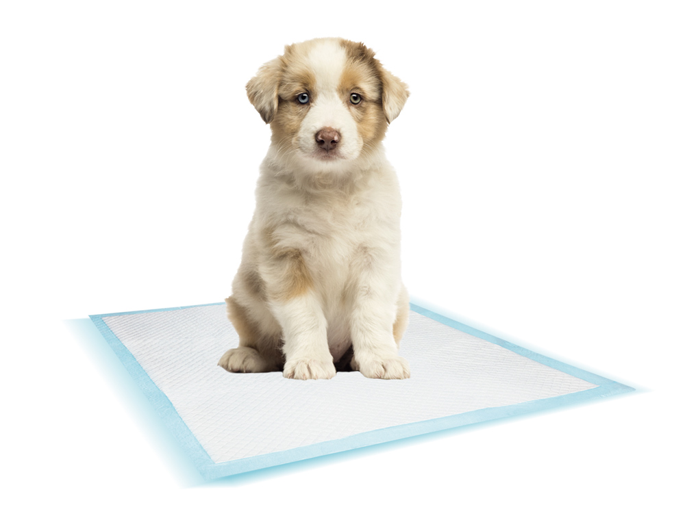 Поглинаючі пелюшки для собак Doggy Training Pads Nobby
