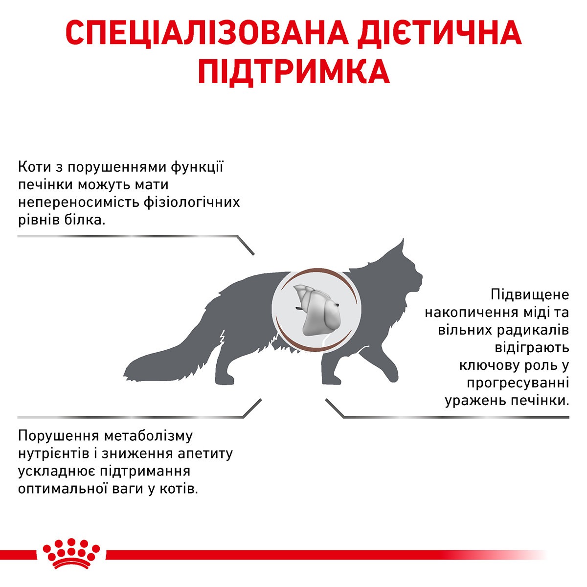 Сухой лечебный корм для взрослых котов при заболеваниях печени Royal Canin Veterinary Hepatic s/o index