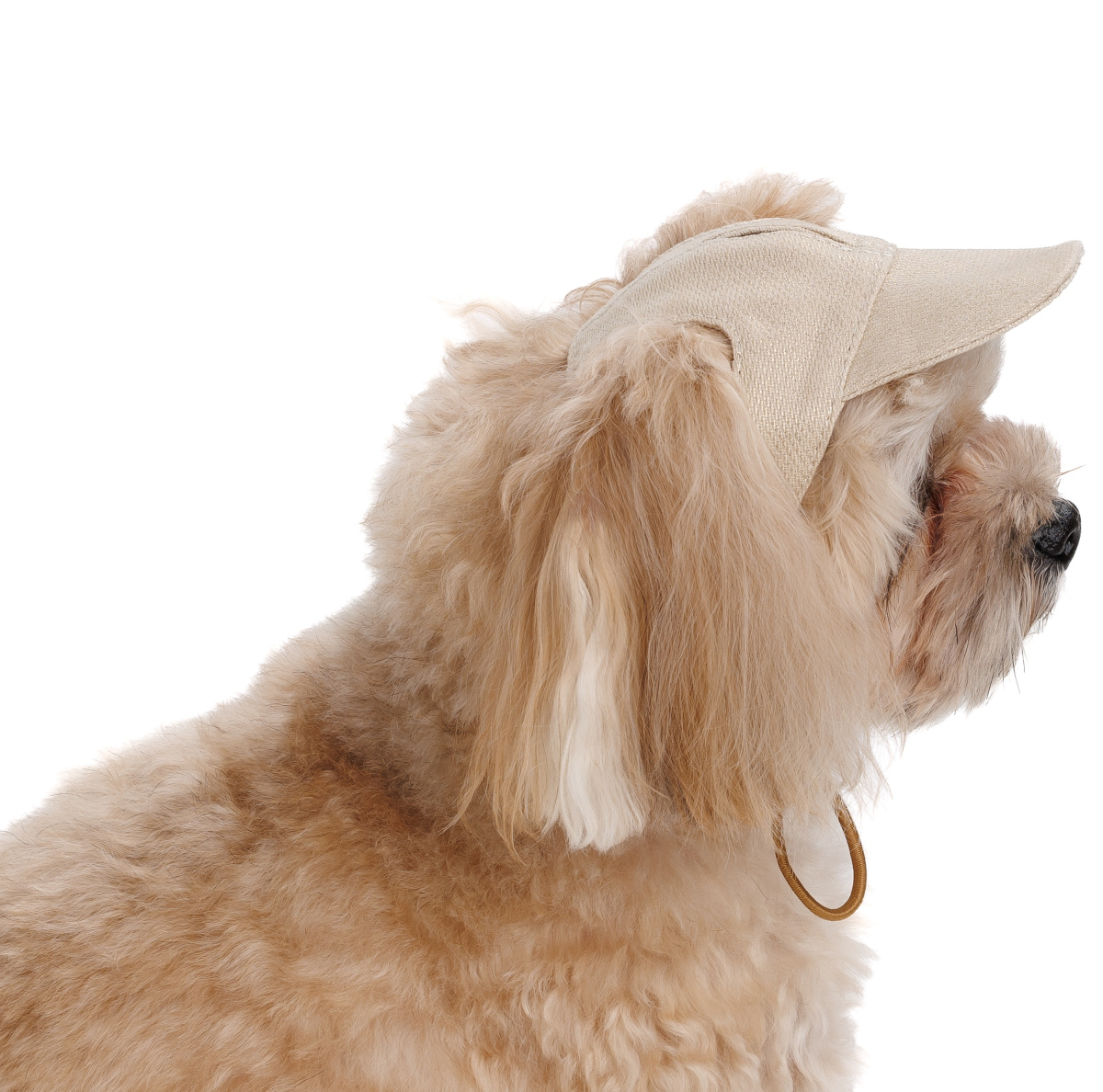 Кепка для собак Гламур Pet Fashion Dog Cap Glamor