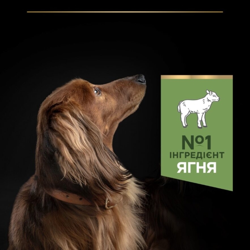 Сухий корм з ягням для собак маленьких порід з чутливим травленням Purina Pro Plan Small & Mini Sensitive Digestion Adult 1+ Lamb Сухий корм з ягням для собак маленьких порід з чутливим травленням Purina Pro Plan Small & Mini Sensitive Digestion Adult 1+ Lamb