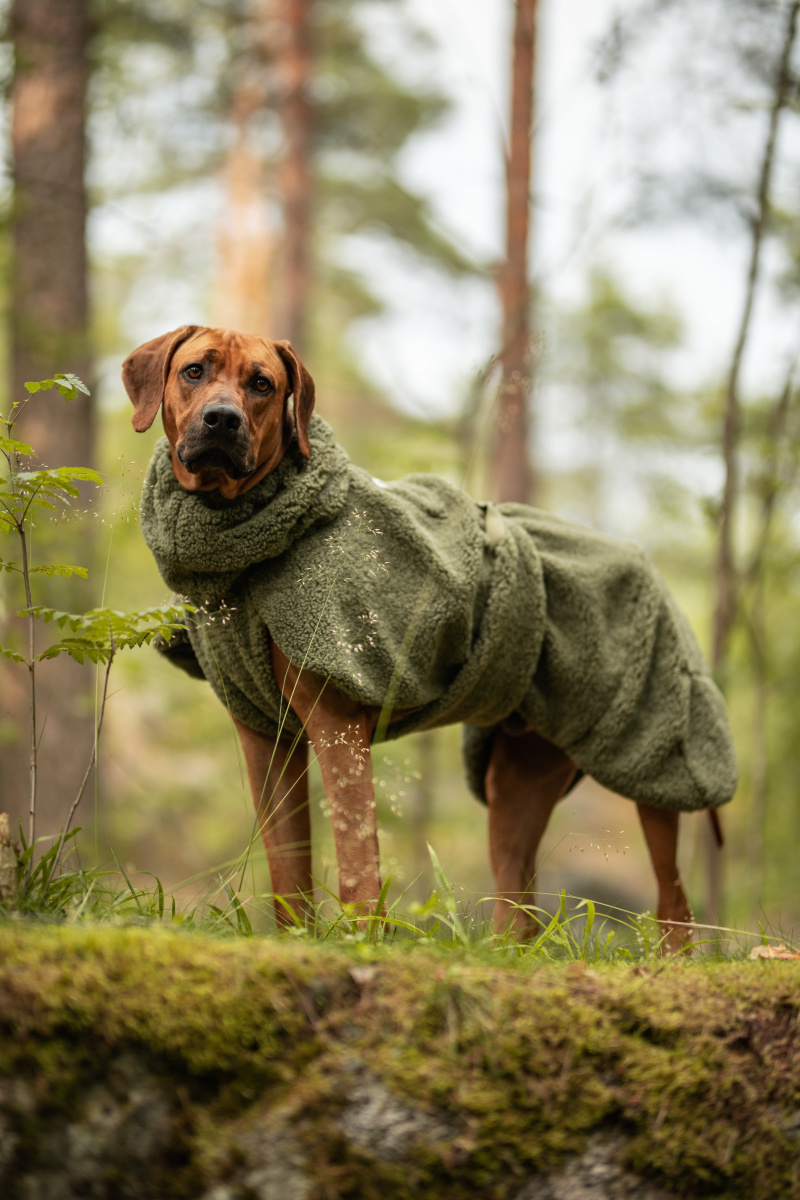 Хутряна сорочка для собак на Seawool-підкладці PAIKKA Sherpa Shirt Olive
