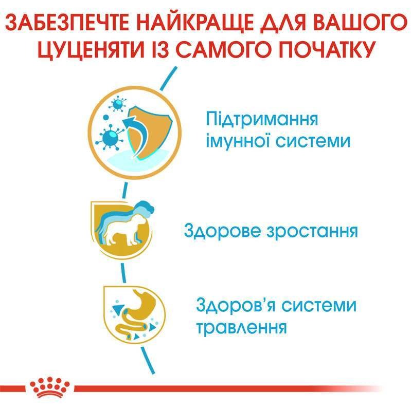 Сухой корм для щенков породы Джек Рассел Терьер в возрасте до 10 месяцев Royal Canin Jack Russel Terrier Puppy 