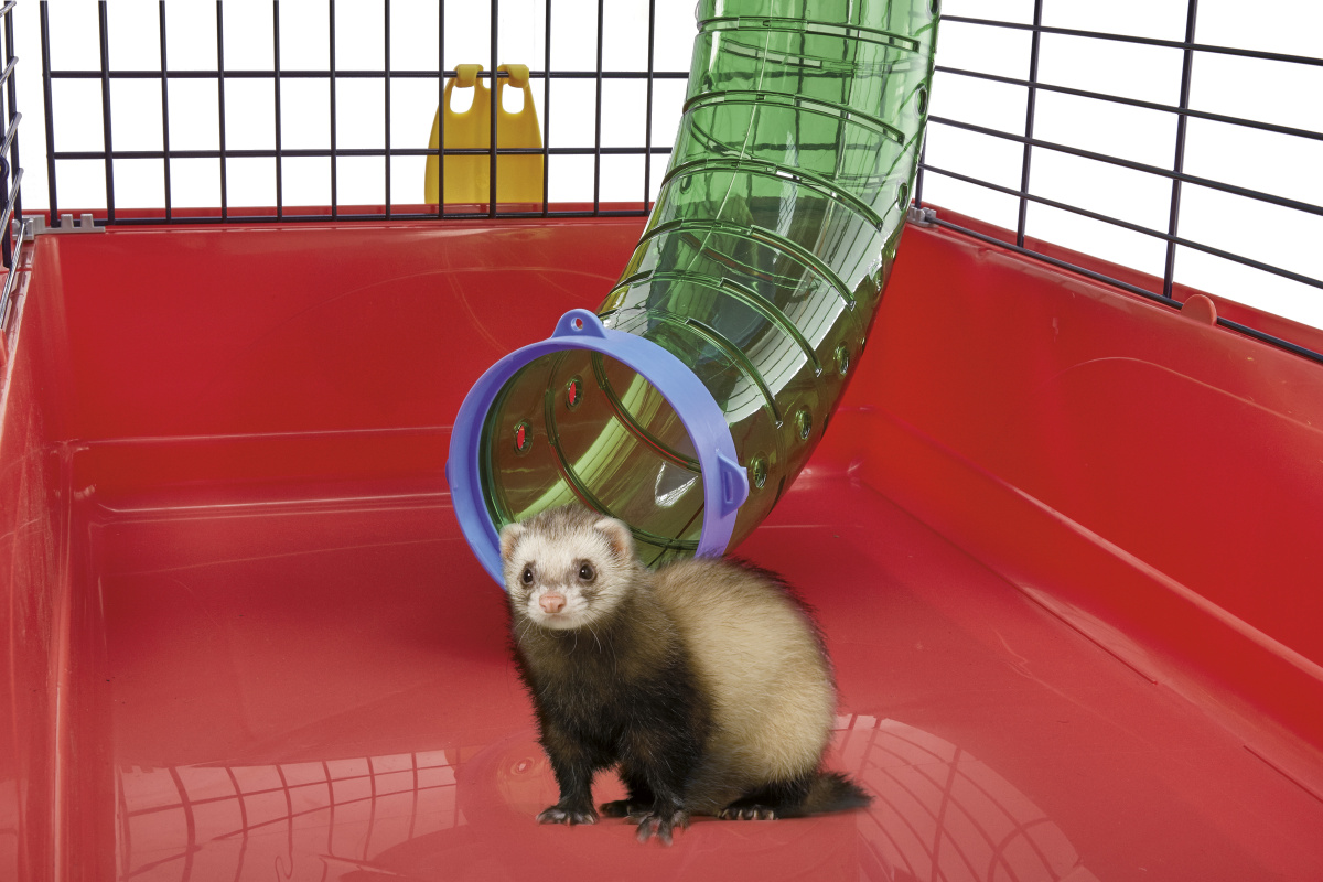 Двухэтажная клетка для хорька с туннелями Imac Ferret Flat Двухэтажная клетка для хорька с туннелями Imac Ferret Flat