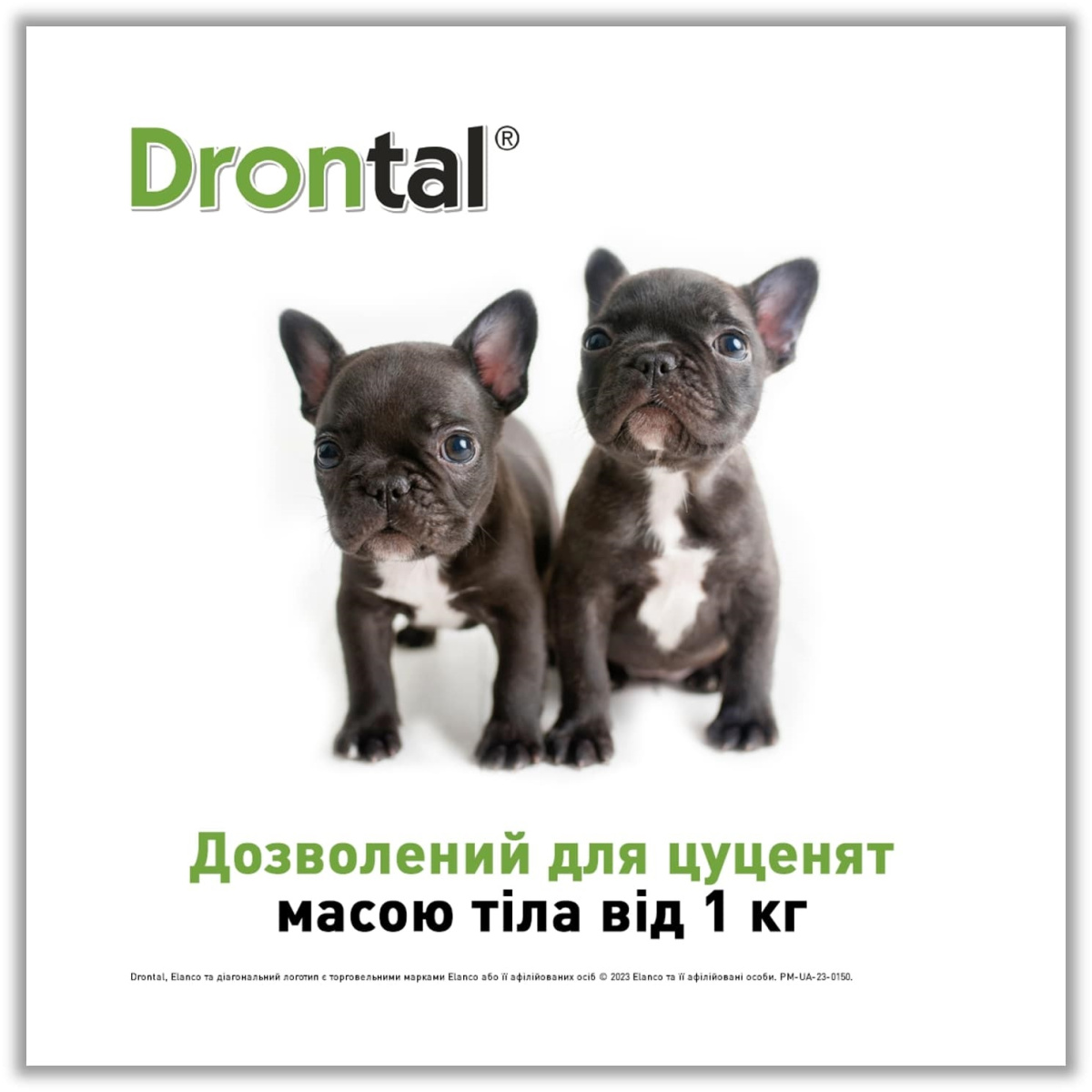 Таблетки для цуценят та дорослих собак проти гельмінтів та лямблій Дронтал Плюс Elanco Drontal Plus Puppies & Dogs