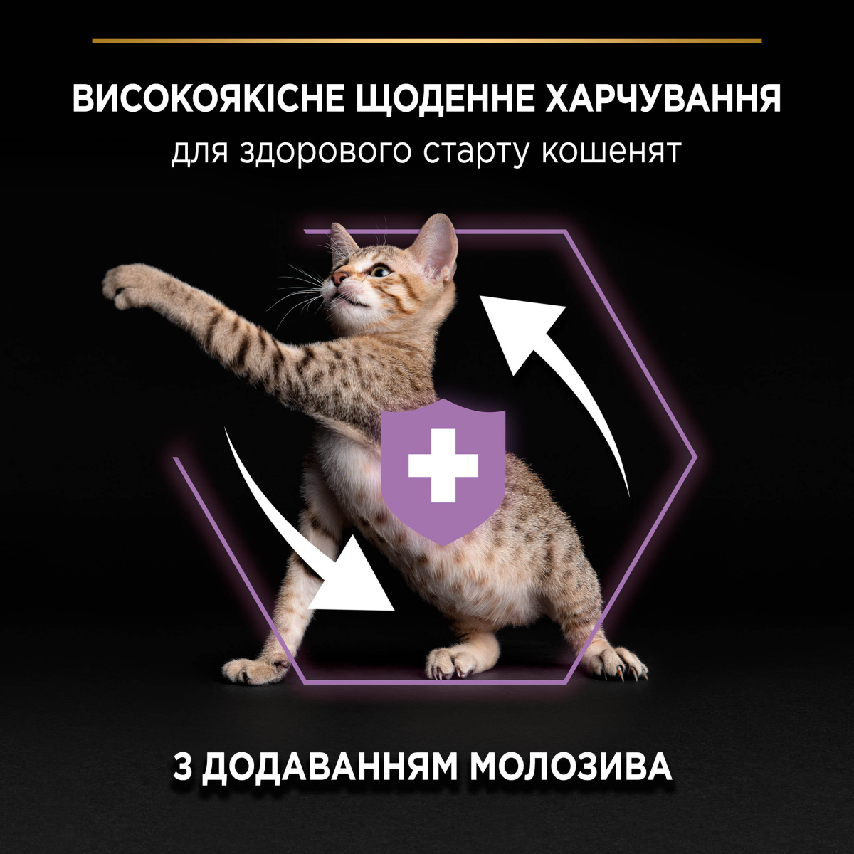 Сухой корм для котят в возрасте от 1 месяца с Курицей Purina Pro Plan Kitten Healthy Start Chicken