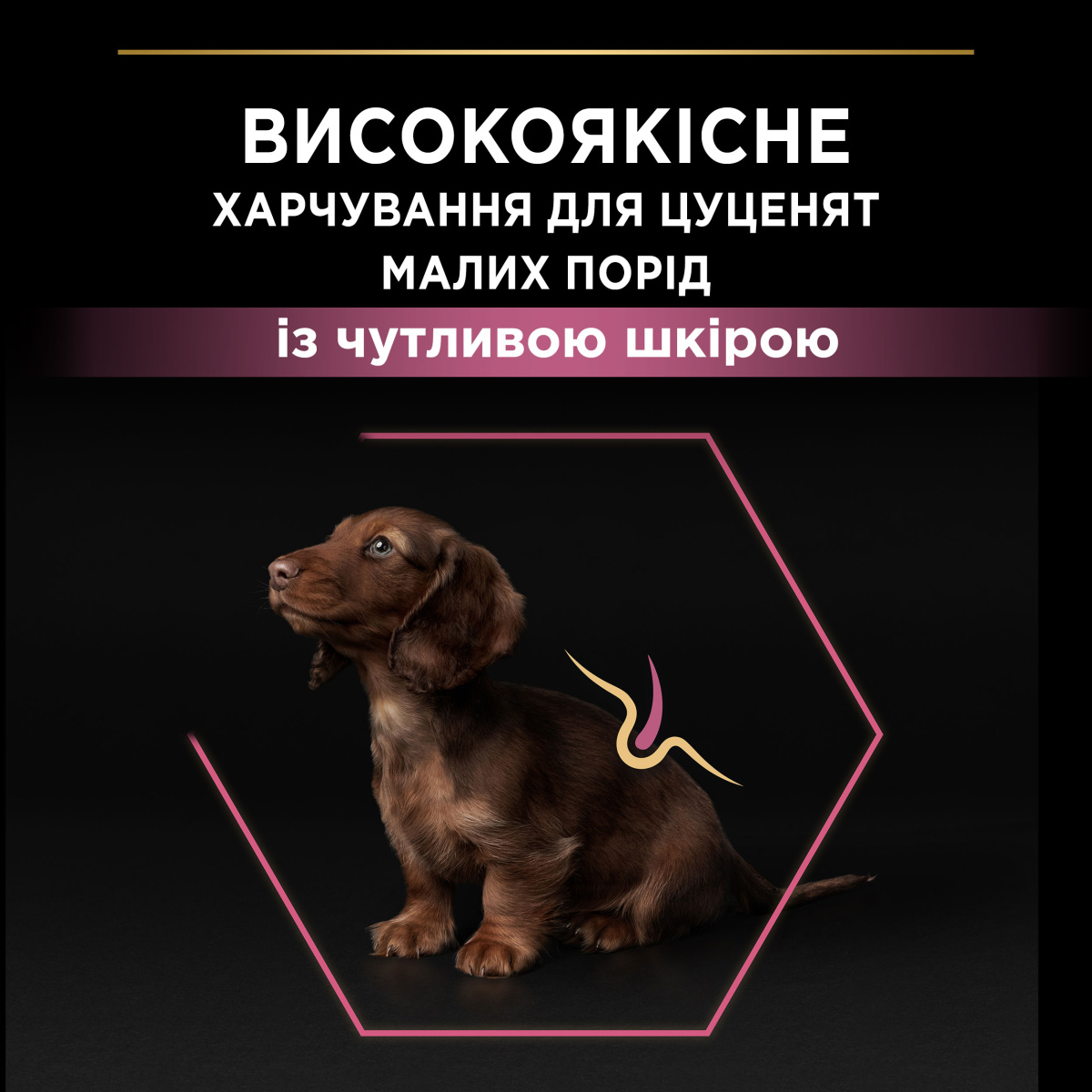 Сухий корм для цуценят маленьких порід з чутливою шкірою з Лососем Purina Pro Plan Small & Mini Puppy Sensitive Skin Salmon