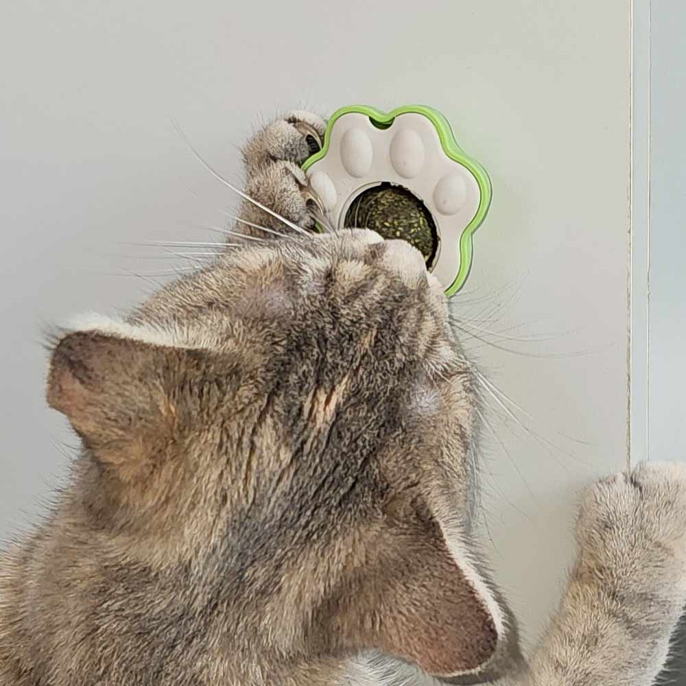 Іграшка-лізун для котів Лапка з котячою м'ятою Paw Catnip Ball Licking Nobby