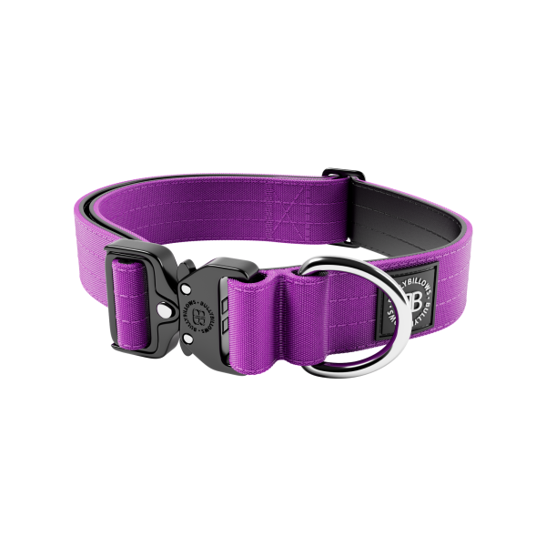 Професійний надміцний нашийник для собак з посиленим замком BullyBillows Combat Collar No Handle 4 cm