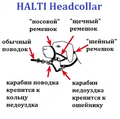 Дрессировочный нейлоновый намордник-недоуздок для собак Halti Headcollar