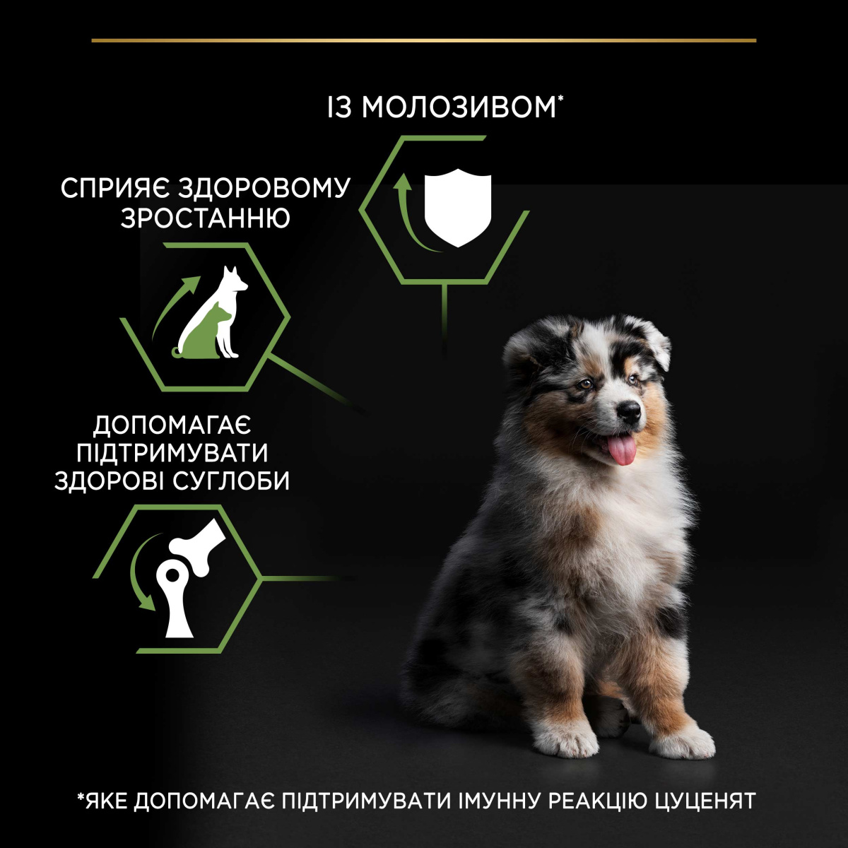 Сухий корм для здорового розвитку цуценят середніх порід з Куркою Purina Pro Plan Medium Puppy Healthy Start Chicken