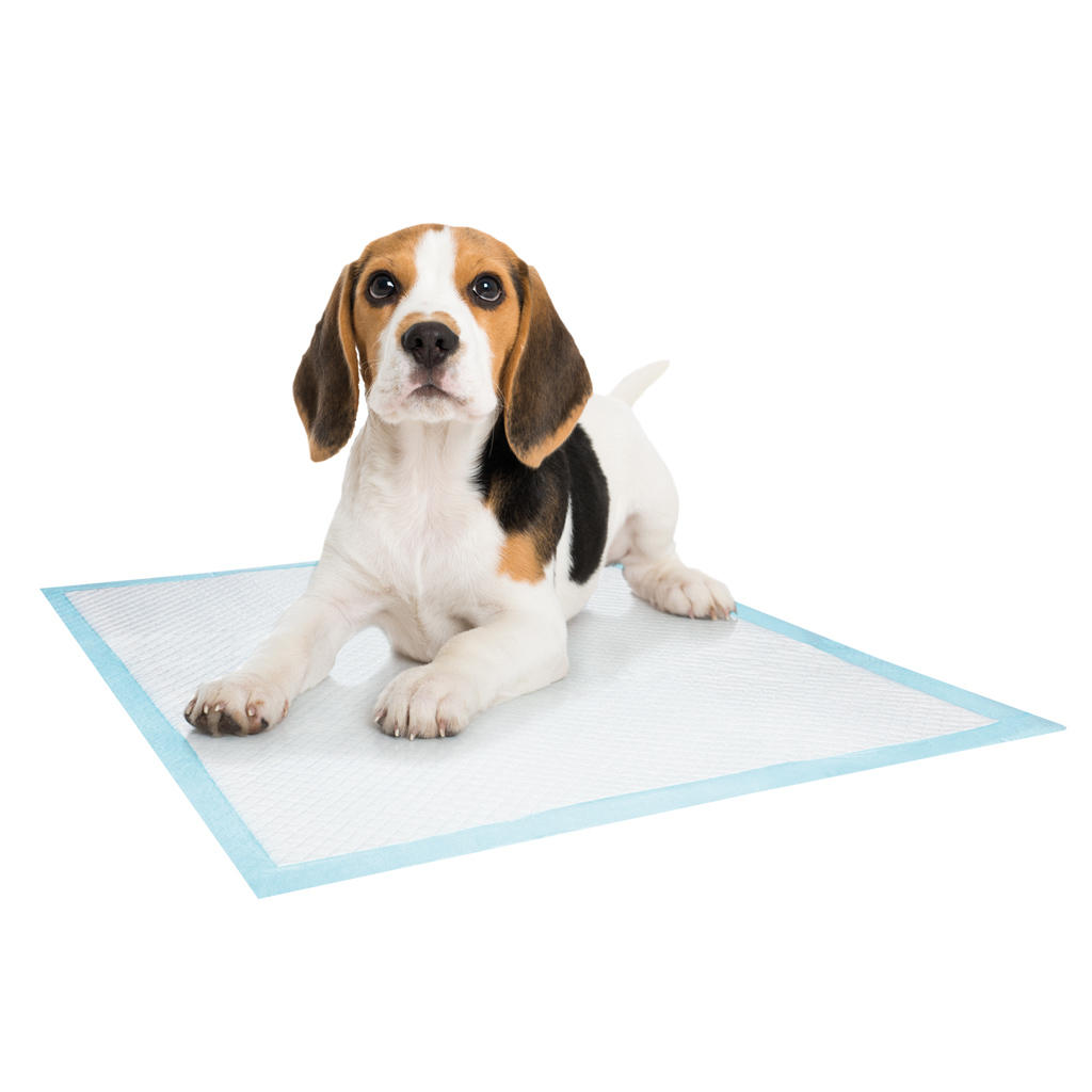 Впитывающие пеленки для собак Doggy Training Pads Nobby