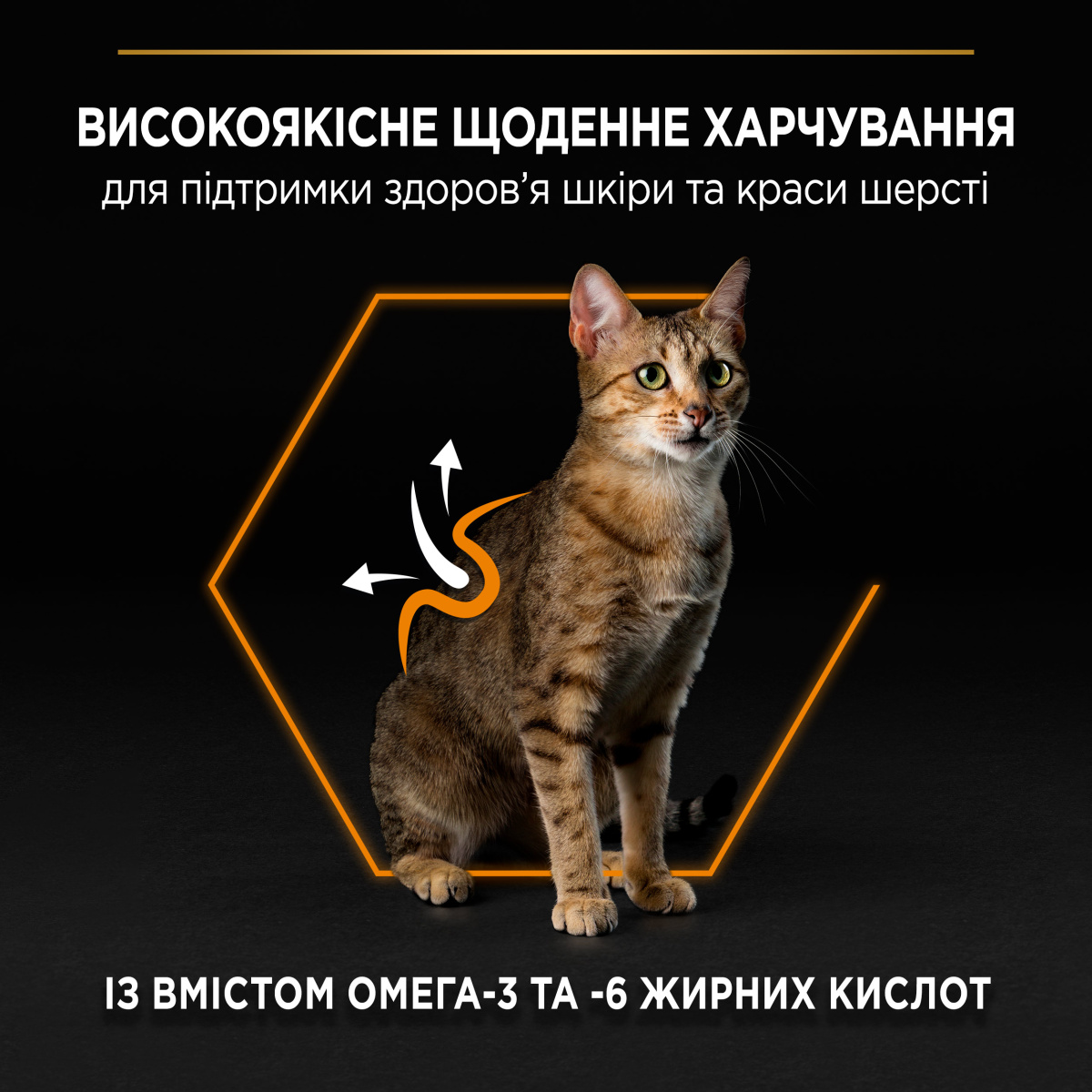 Сухой корм с лососем для взрослых кошек с чувствительной кожей Purina Pro Plan Elegant Adult 1+ Salmon