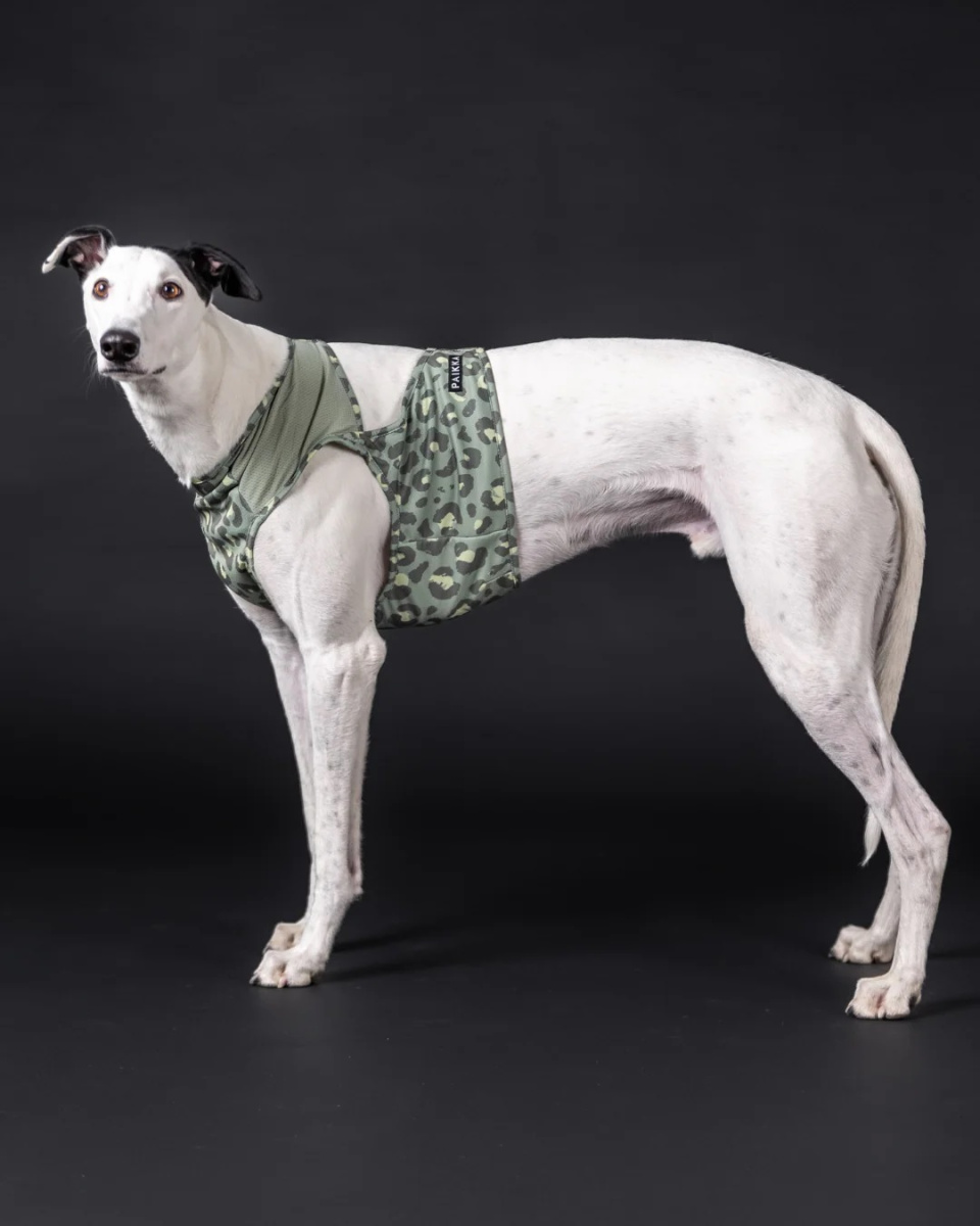 Охолоджуючий жилет для собак PAIKKA Cool Vest Green Leo