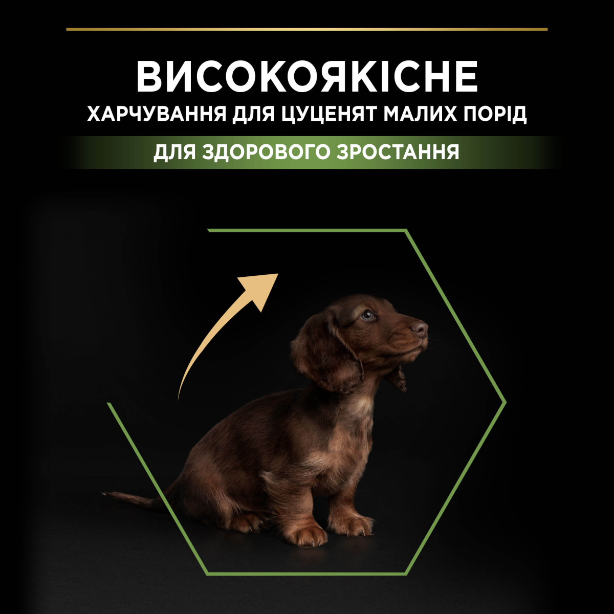 Сухой корм для здорового развития щенков маленьких пород с Курицей Purina Pro Plan Small & Mini Puppy Healthy Start Chicken
