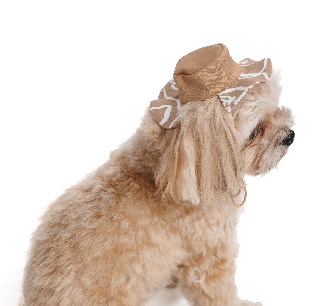 Панама для собак Принт Pet Fashion Dog Sun Hat Print