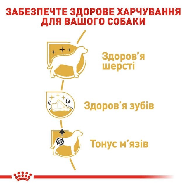 Сухой корм для собак породы Пудель Мальтипу в возрасте от 10 месяцев Royal Canin Poodle Adult