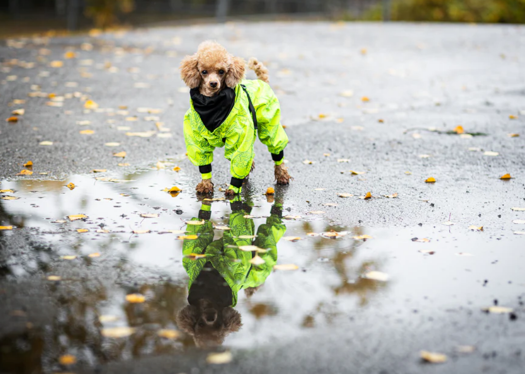 Водонепроникний костюм зі світловідбиваючим візерунком для собак PAIKKA Rain Suit Водонепроникний костюм зі світловідбиваючим візерунком для собак PAIKKA Rain Suit