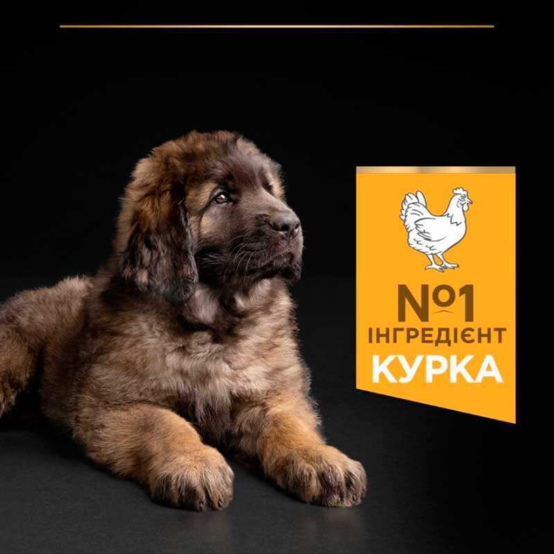 Сухий корм з куркою для здорового розвитку цуценят великих порід Purina Pro Plan Large Robust Healthy Start Puppy Chicken