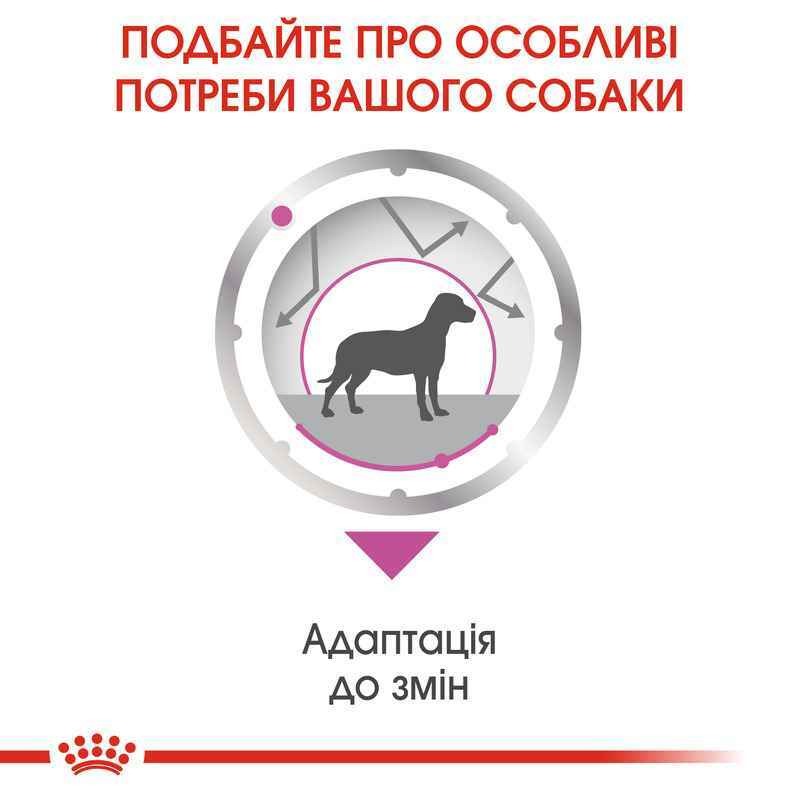 Влажный успокаивающий корм для взрослых собак при действии стрессовых факторов Royal Canin Relax Care