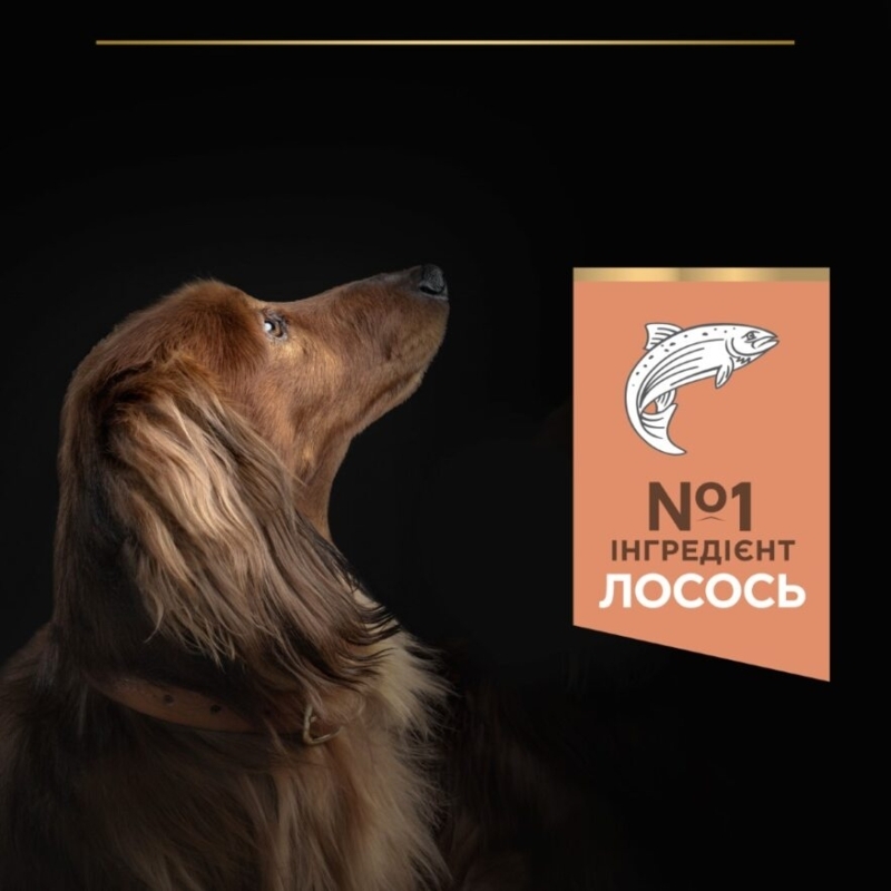 Сухой корм с лососем для собак маленьких пород с чувствительной кожей Purina Pro Plan Small & Mini Sensitive Skin Adult 1+ Salmon Сухой корм с лососем для собак маленьких пород с чувствительной кожей Purina Pro Plan Small & Mini Sensitive Skin Adult 1+ Salmon