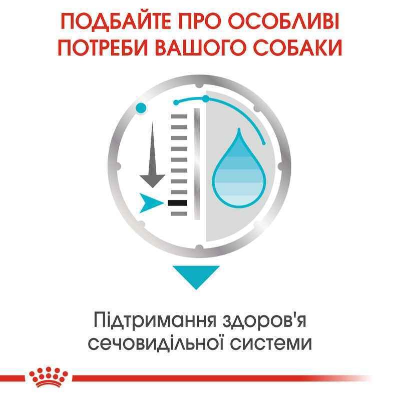 Влажный корм для взрослых собак для поддержания здоровья мочевыделительной системы Royal Canin Urinary Care