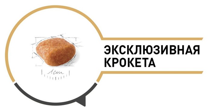 Сухой корм для собак породы Пудель Мальтипу в возрасте от 10 месяцев Royal Canin Poodle Adult