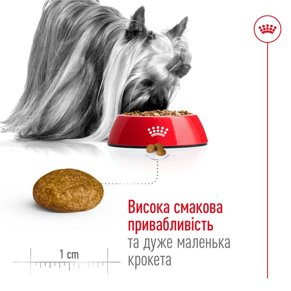Сухой корм для собак миниатюрных пород в возрасте от 10 месяцев до 8 лет Royal Canin X-Small Adult Сухой корм для собак миниатюрных пород в возрасте от 10 месяцев до 8 лет Royal Canin X-Small Adult