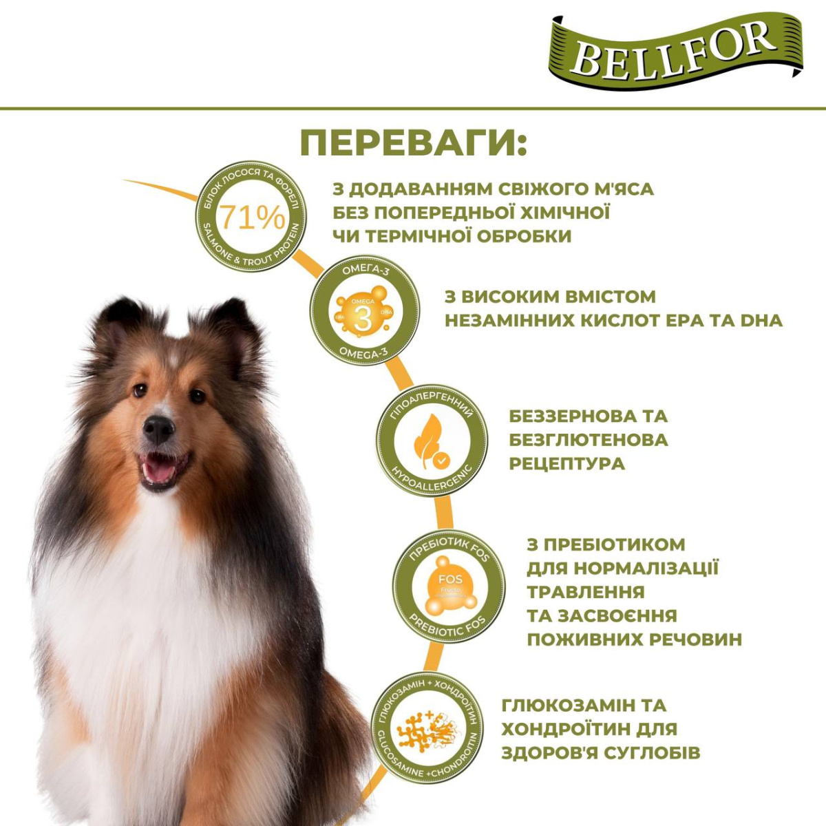 Беззерновой сухой гипоаллергенный корм холистик с лососем и форелью для взрослых собак Bellfor Wildbach Schmaus