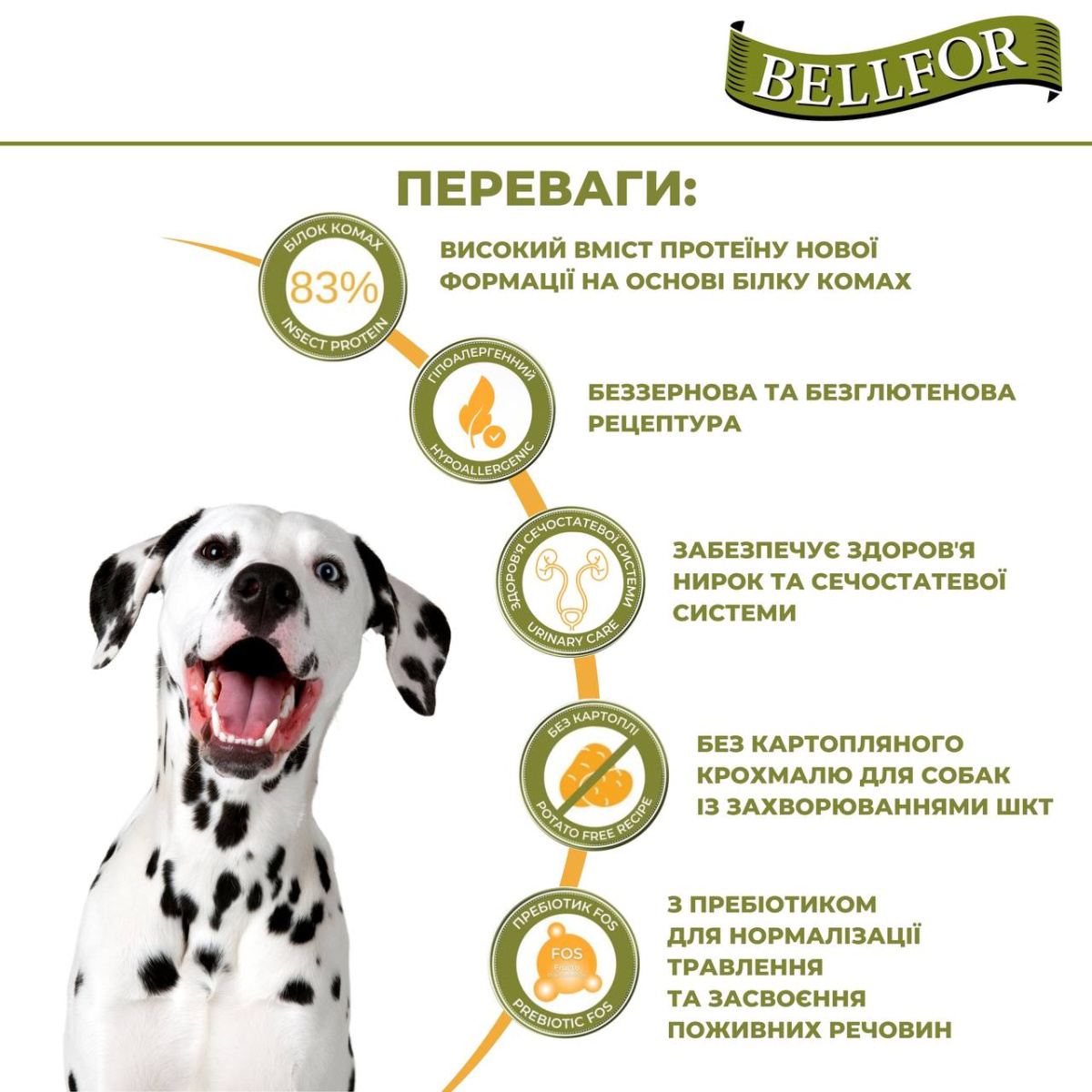Беззерновой сухой корм холистик на основе белка насекомых с чечевицей и тапиокой для взрослых собак Bellfor Insect Naturfarm-Schmaus