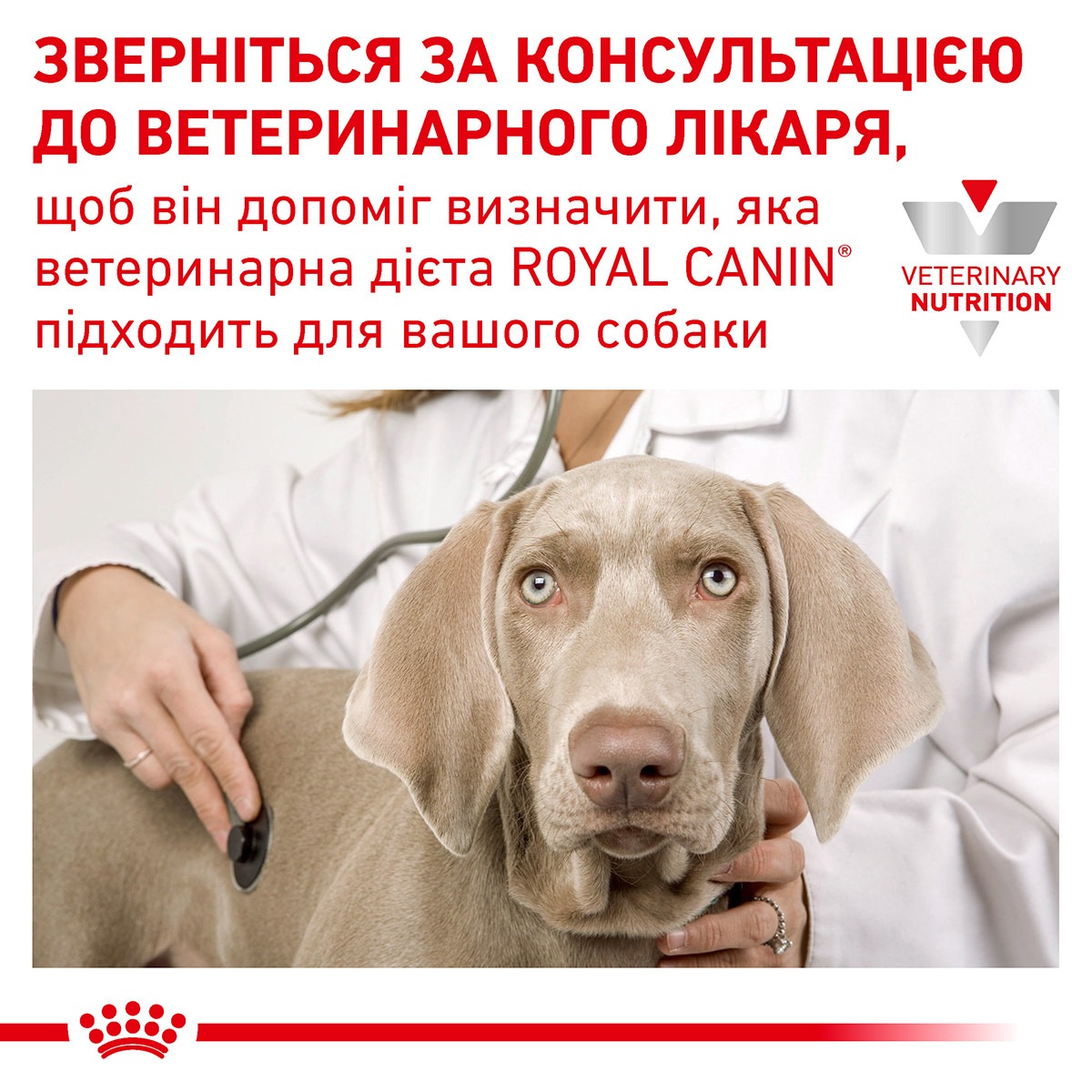 Сухий лікувальний корм для собак з надмірною вагою Royal Canin Veterinary Satiety Weight Management
