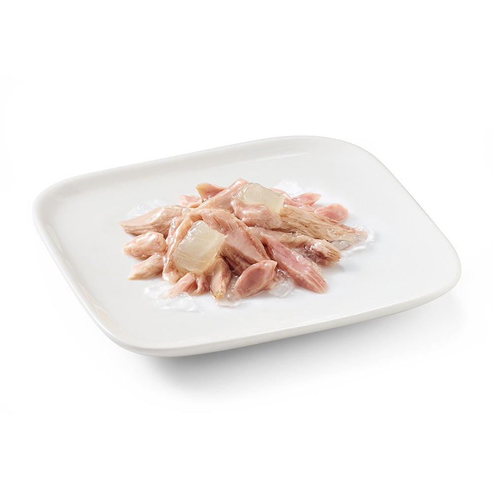 Консерва для щенков в возрасте до 1 года Тунец с Алое в желе Schesir Puppy Tuna & Aloe in Jelly