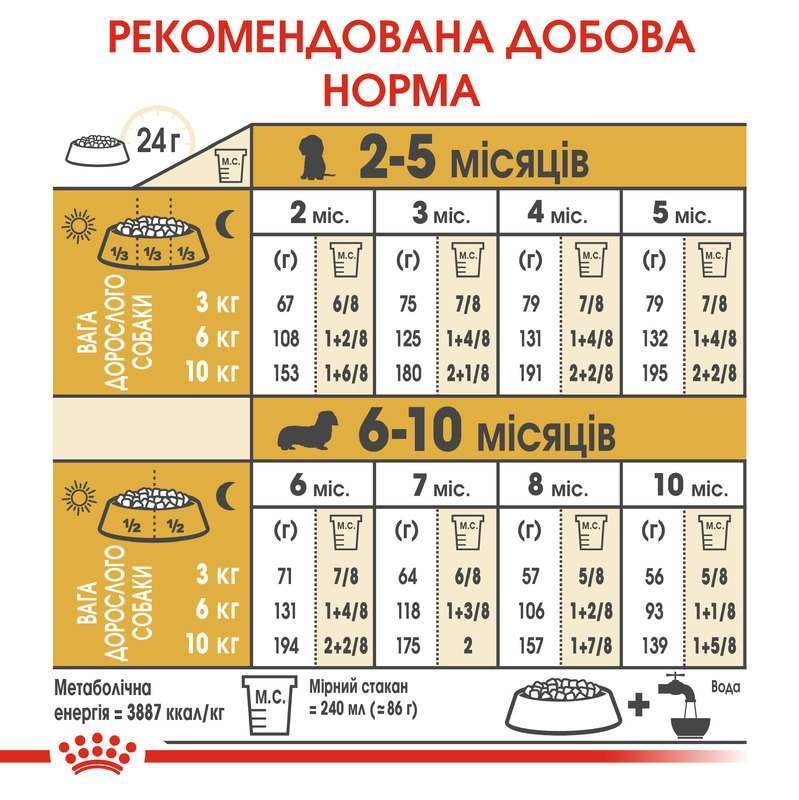 Сухой корм для щенков породы Такса до 10 месяцев Royal Canin Dachshund Puppy