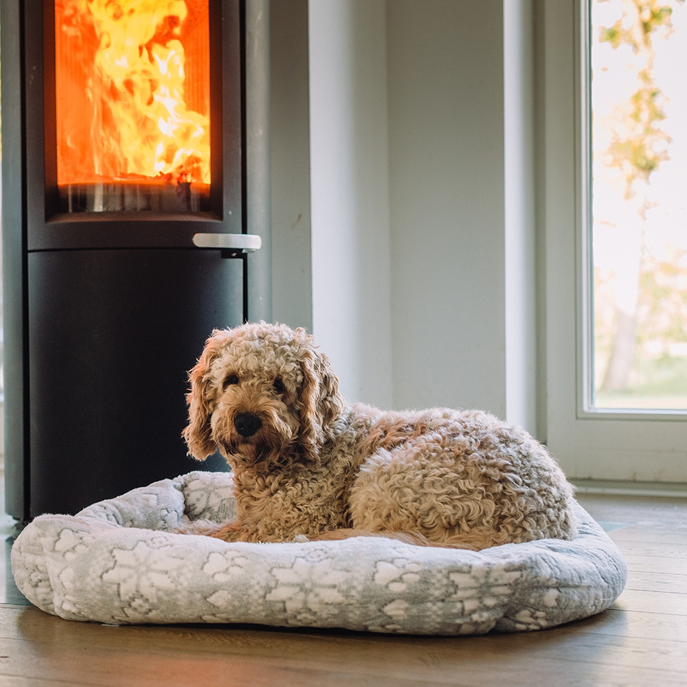 Антиковзка плюшева зимова лежанка із бортиками для собак Flokon Nobby
