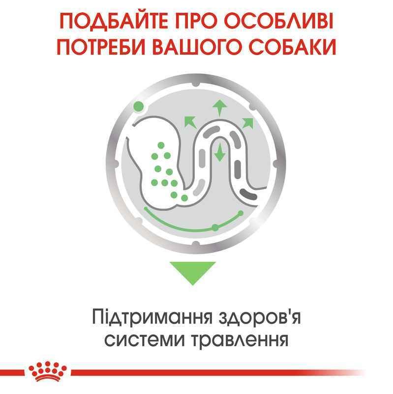 Влажный корм для взрослых собак с чувствительным пищеварением Royal Canin Digestive Care