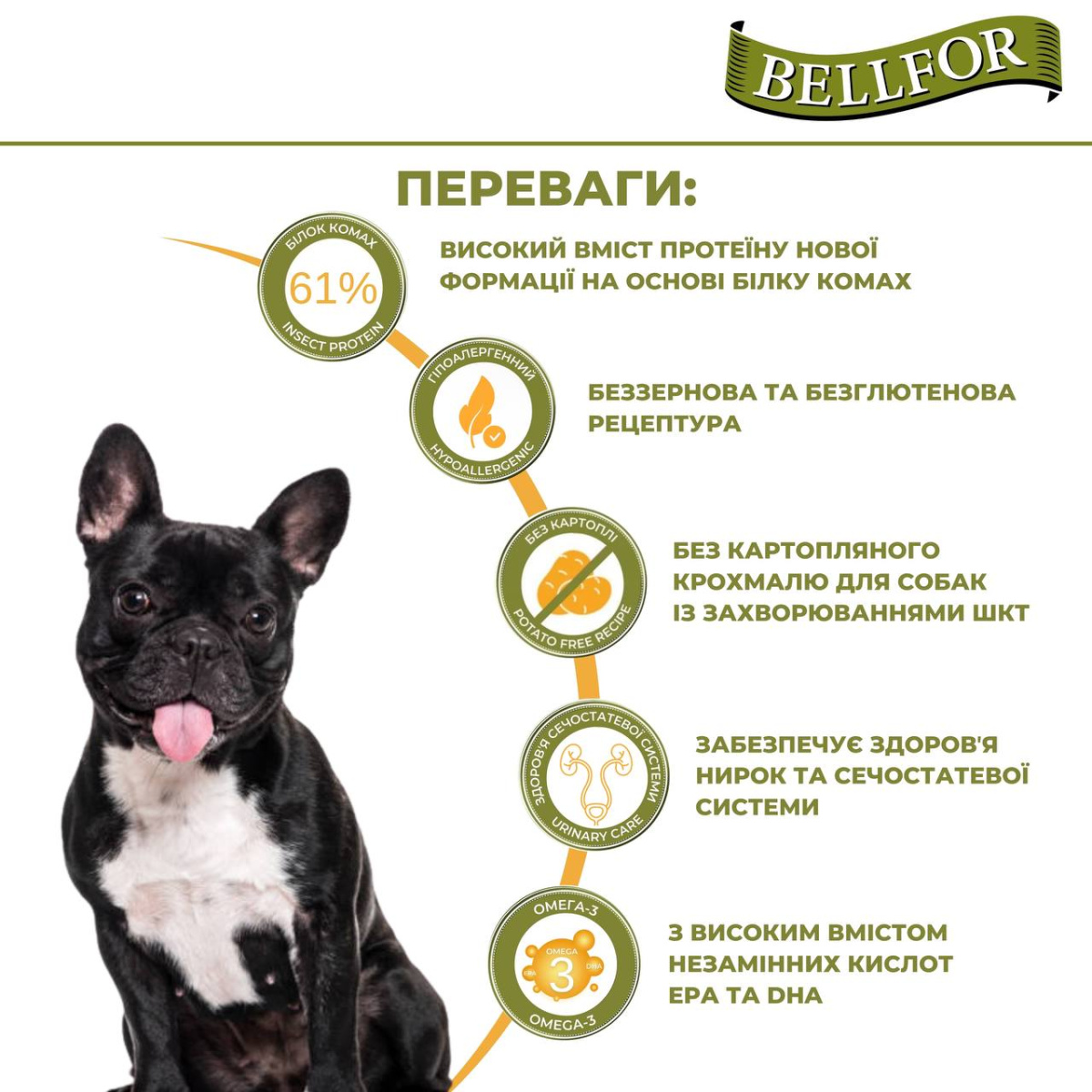 Гіпоалергенна беззернова консерва для собак з білком комах та чорницею Bellfor Naturfarm-Menu Insect Гіпоалергенна беззернова консерва для собак з білком комах та чорницею Bellfor Naturfarm-Menu Insect
