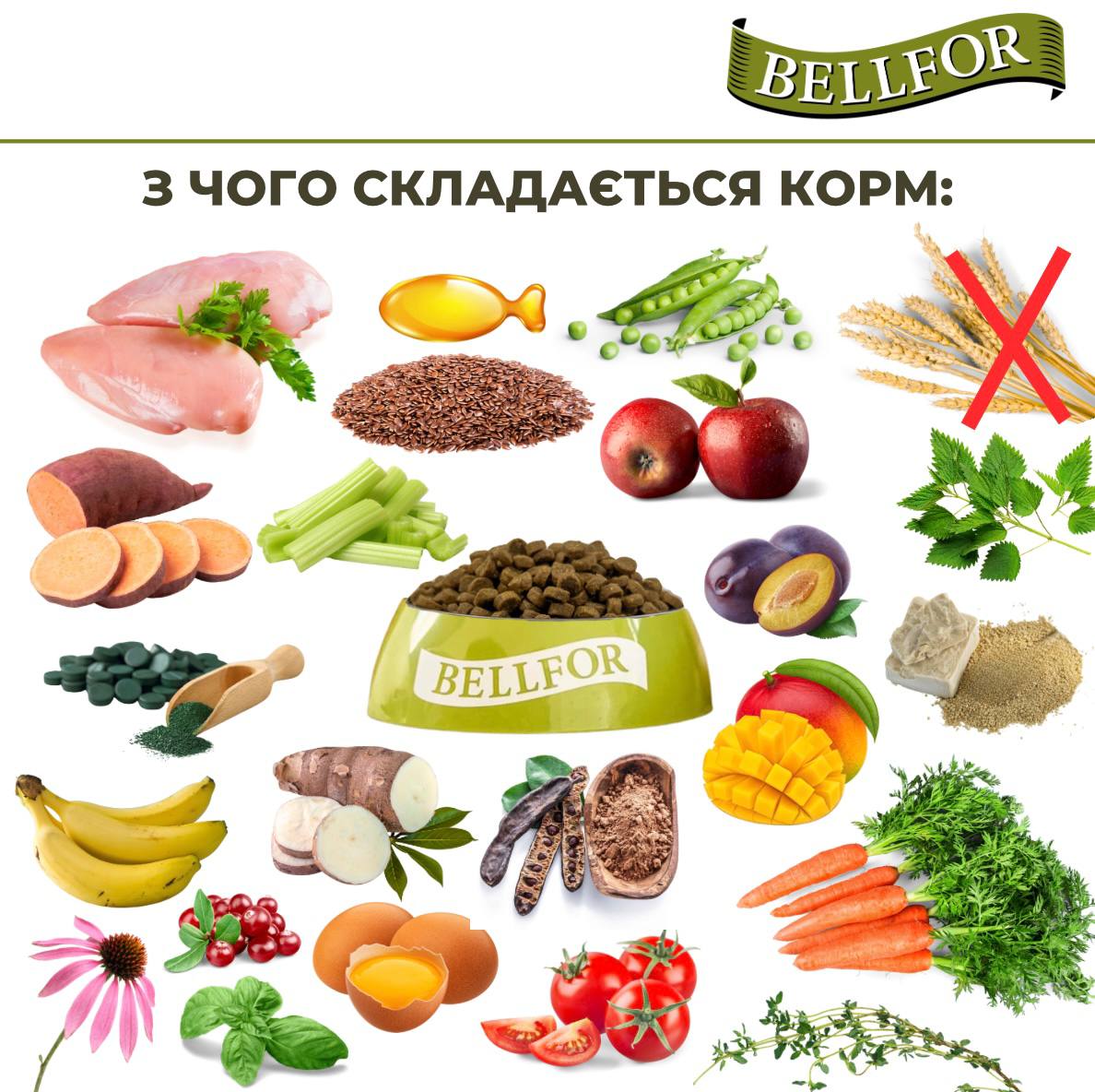 Беззерновой монопротеиновый сухой корм холистик с курицей для собак маленьких пород Bellfor Freiland Schmaus Mini