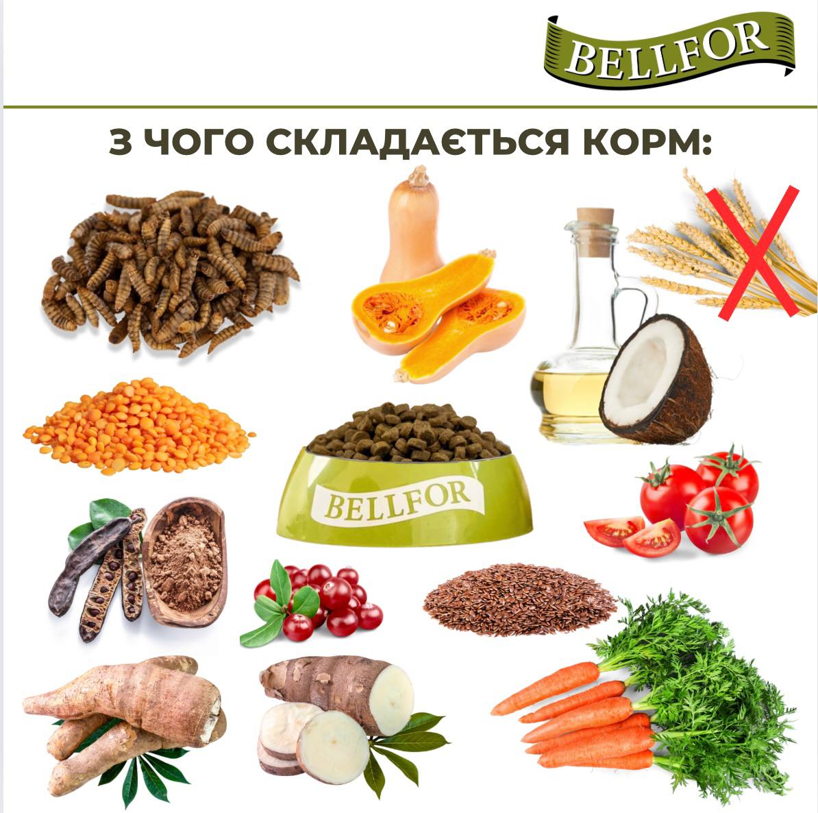 Беззерновой сухой корм холистик на основе белка насекомых с чечевицей и тапиокой для взрослых собак Bellfor Insect Naturfarm-Schmaus