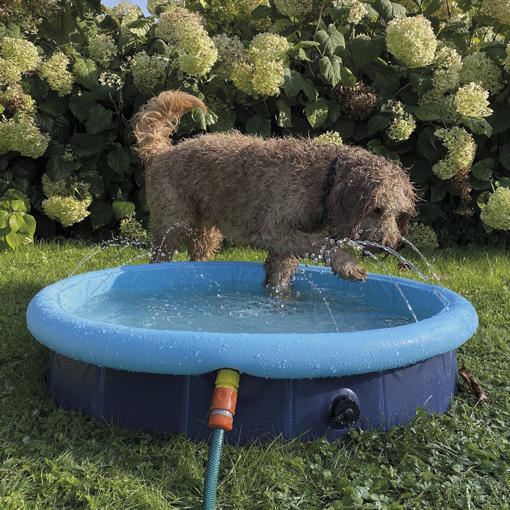 Охлаждающий складной бассейн с распылителем-фонтаном для собак Dog Pool 2 in 1 Nobby Охлаждающий складной бассейн с распылителем-фонтаном для собак Dog Pool 2 in 1 Nobby