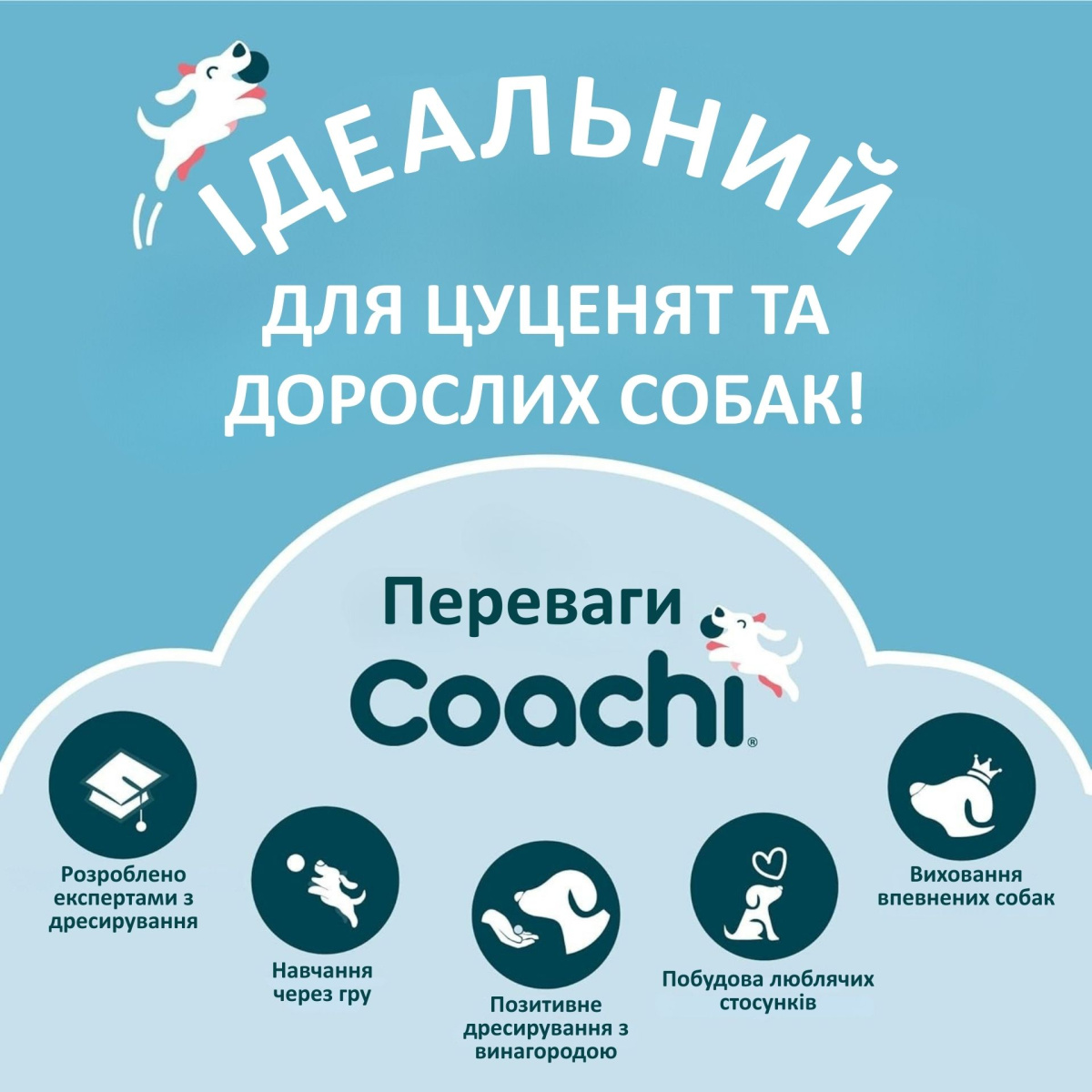 Тренировочный поводок для щенков Coachi Puppy Training Line 
