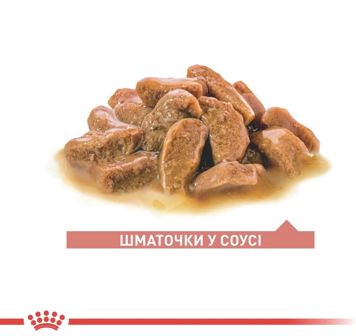 Влажный корм в соусе для стареющих кошек в возрасте от 11 лет Royal Canin Senior Cats 11+ Gravy