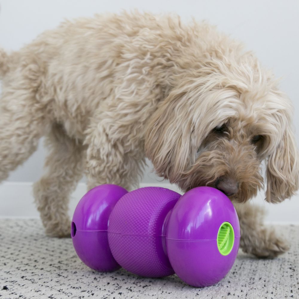 Іграшка для собак Гантель-Бумеранг для ласощів KONG Replay Dog Toy Іграшка для собак Гантель-Бумеранг для ласощів KONG Replay Dog Toy
