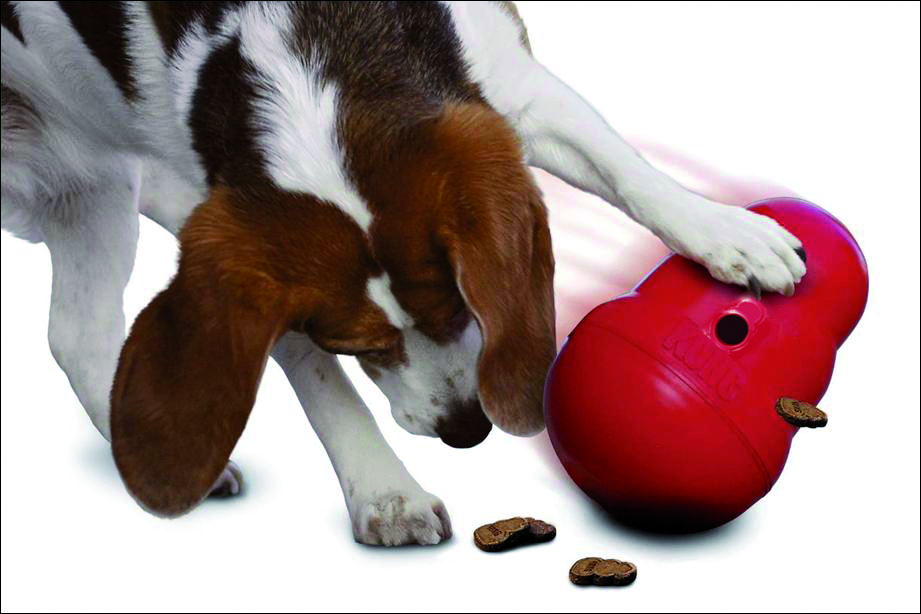 Іграшка для собак Тренувальний М'яч Груша для ласощів KONG Wobbler