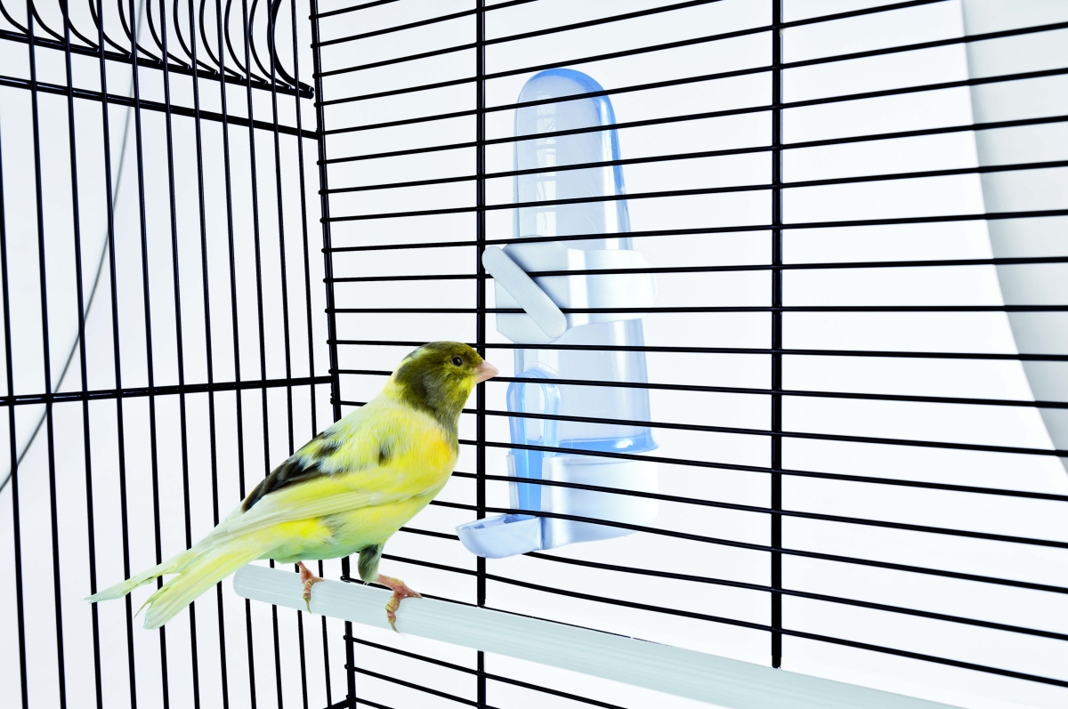 Дозатор для воды пластиковый для попугаев Imac Tweety Special 200